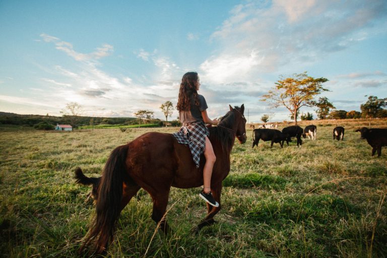 pexels helena lopes 4766378 768x512