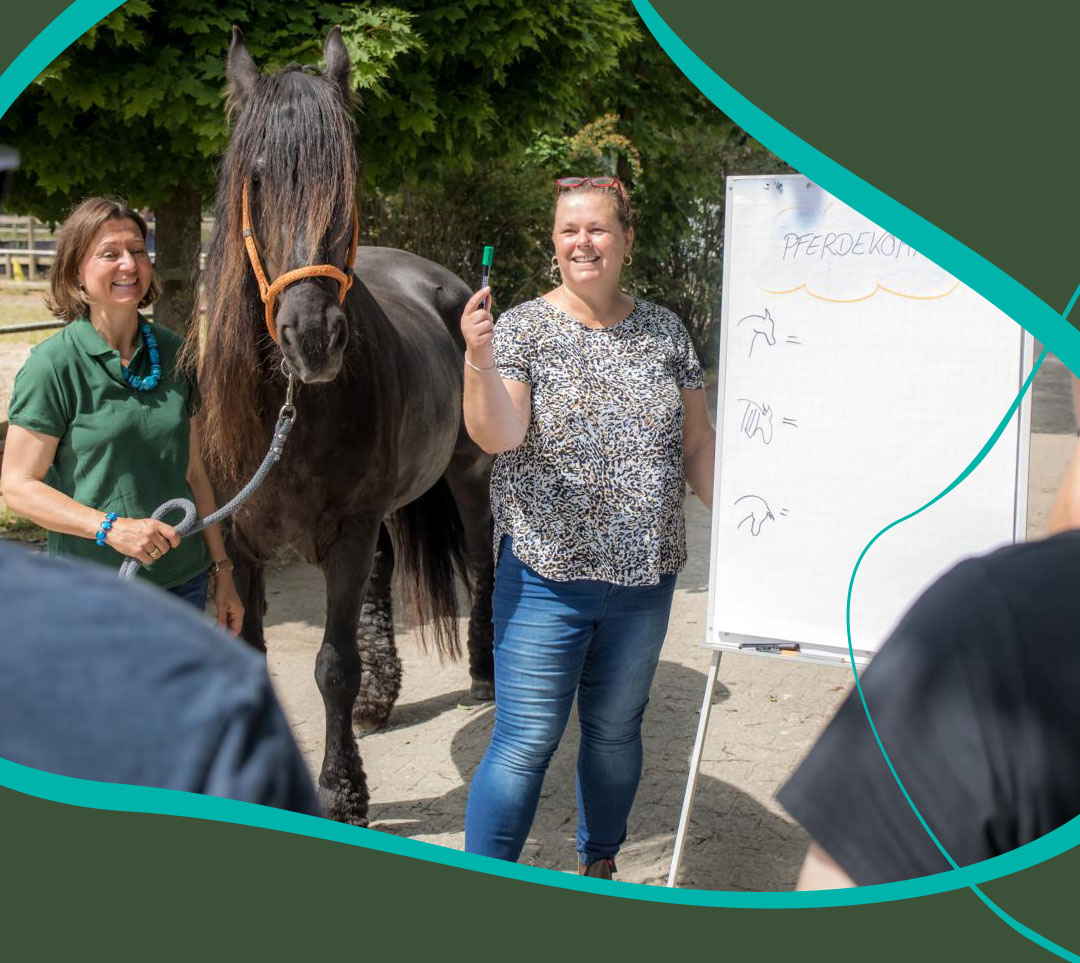 Stressabbau Coaching mit Pferd