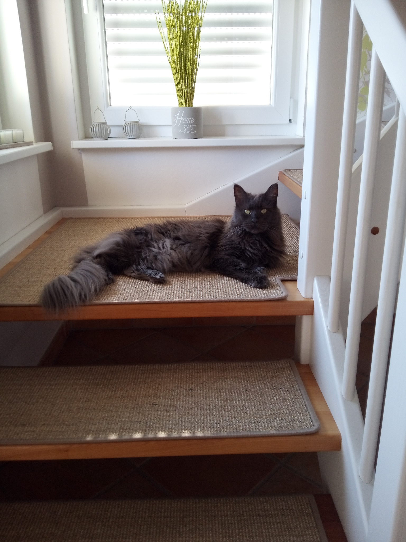 IMG 20220322 112358 6