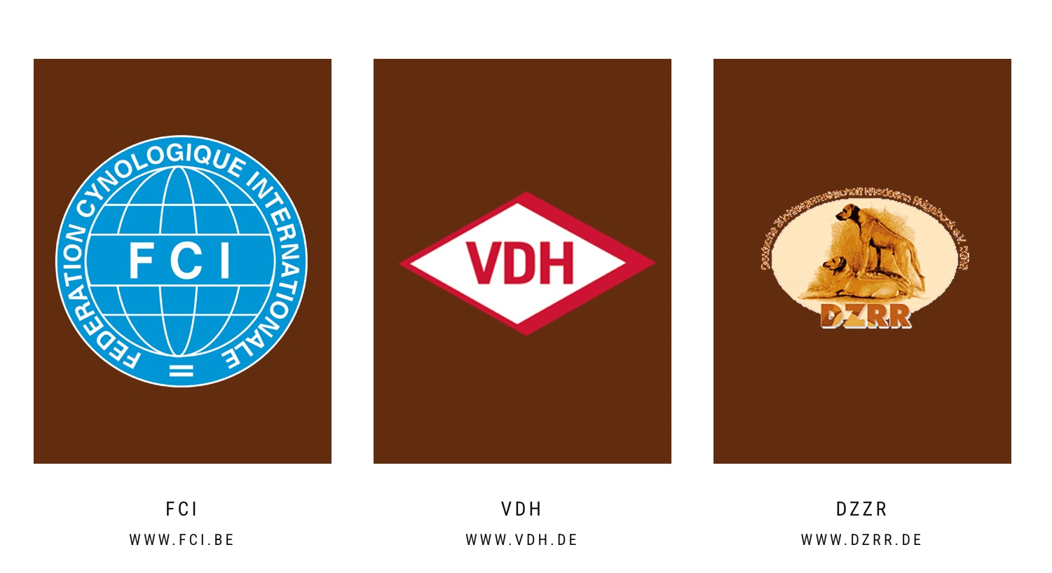 69F2F620 C325 4214 A3B5 5C0BFB2A74C8